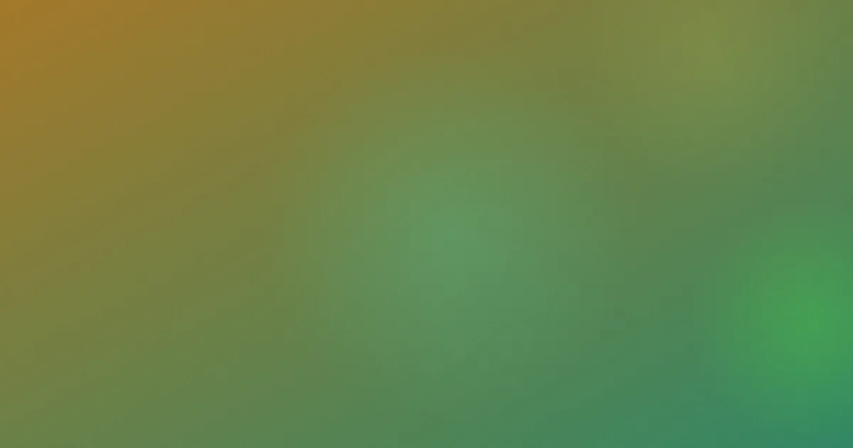 绿洲推荐：新手怎么选